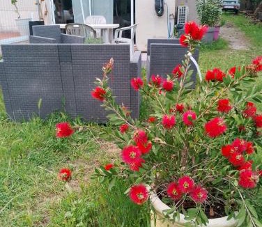 Saint-Drezery Apartment | Entre vignes et garrigue