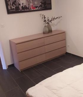 Brienz/Brinzauls Apartment | Enzian 176 Al , Wohnung C3
