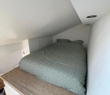 Epinal Apartment | Epinal quartier historique, studio en mezzanine,