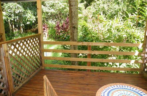 Cow Bay Bed & Breakfast | Epiphyte B & B