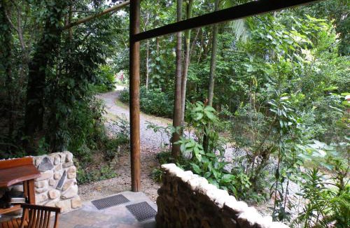 Cow Bay Bed & Breakfast | Epiphyte B & B