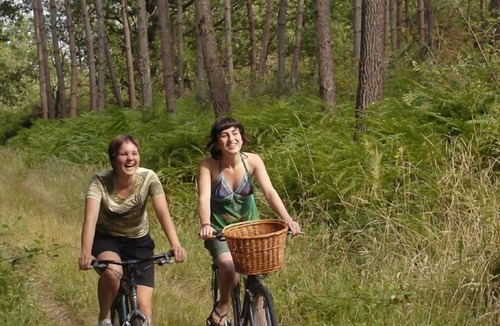 Sainte-Eulalie-en-Born House | Erable - Ste-eulalie-en-born