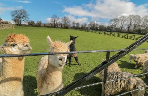 North York Moors National Park House | Erica's 'eaven