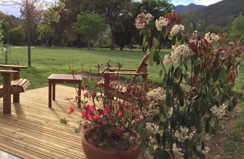 Giuncaggio Other | Ernella