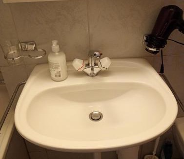 Rorschach Apartment | Erste Linie See Wohnung