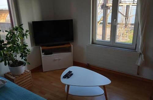Rorschach Apartment | Erste Linie See Wohnung