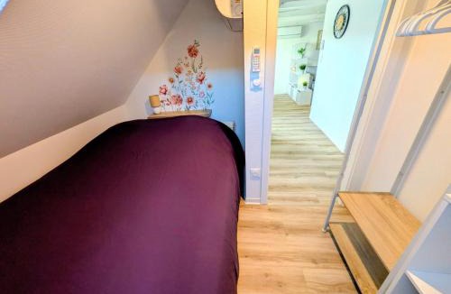 Mutzig Apartment | Escale Im Elsass