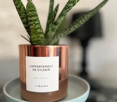 Colombier - Champ de Mars Apartment | Escale urbaine studio Rennes