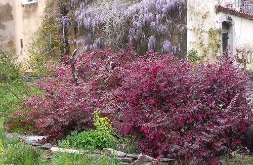 Saint-Laurent-le-Minier House | Escapée belle en cévennes Pets welcome!