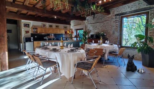 Aubigny-sur-Nere Villa | Escapade écossaise au bord de la rivière, salon de jeu, plancha, Centre Historique, gare TER