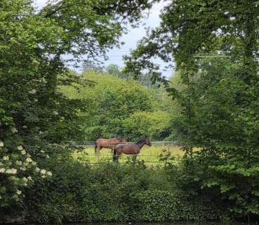 Le Mesnil-Rouxelin Apartment | Escapade au cœur du Haras