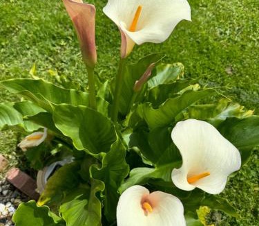 Saint-Gilles-de-Cretot Ski Chalet | Escapade et spa Insolite