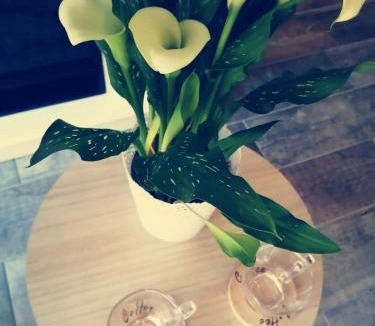 Yerville House | Escapade Normande SPA