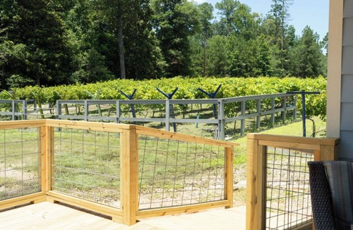 Hillister Cottage | Escape to our serene lakefront cottage & vineyard with stunning views!