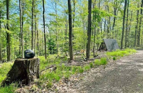Sidney RV Rental | Escapology | Serene Glampsite + Fire Pit
