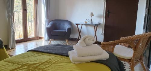 L'Argentera Hostel | espai Abadia
