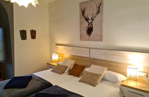 Canfranc-Estacion Apartment | Espectacular apartamento reformado en edificio histórico, con WIFI