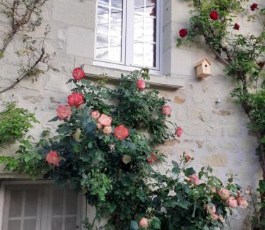 Beaumont-en-Veron House | Esprit Troglo