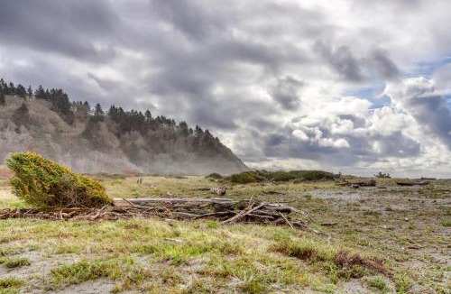 McKinleyville House | Estate @ Vista