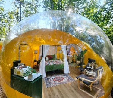 Petite-Riviere-de-l'Ile Hotel | Estrella Glamping