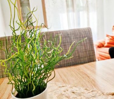 Tarancon Apartment | Estrella Polar