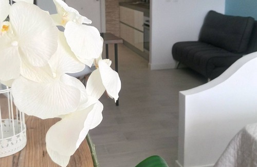 Torrevieja Hotel | Estudio Ally