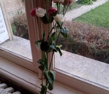 Coulonces Bed & Breakfast | ESYOM'l