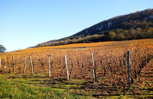 Lavigny Bed & Breakfast | Et la froumi