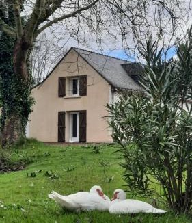 Allonnes House | etang de la bibardiere