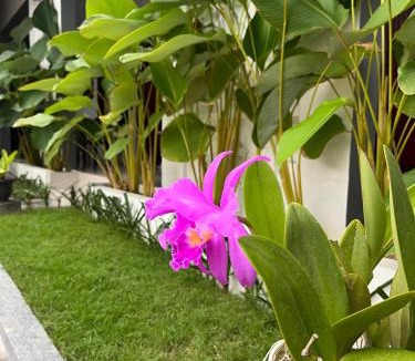 Mataram House | Eternal Rooms