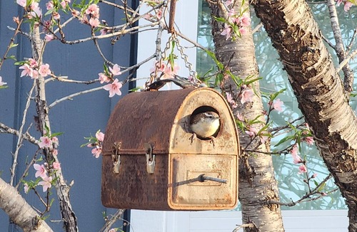 Blanco House | Ethyl's Place - a charming place to stay.