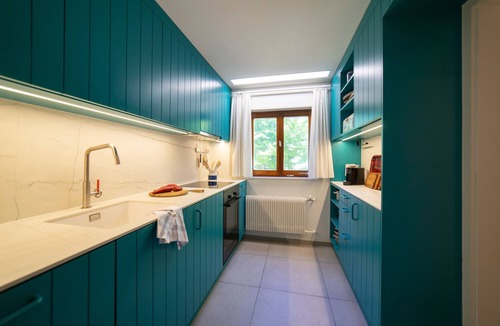 Wildhaus House | Etienne