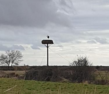 Mortagne-sur-Gironde House | Europe