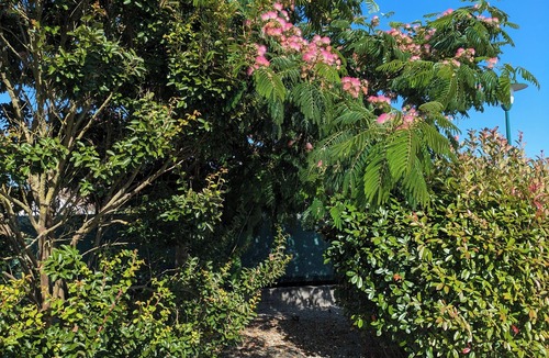 Angles House | Evann's Myle Roze