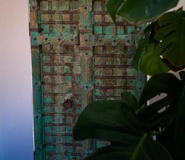 Saint-Jean-de-Cornies Apartment | Evasion Balinaise