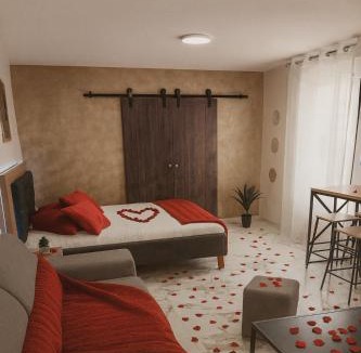 Pruniers-en-Sologne Apartment | Evasion Romantique&Jacuzzi!