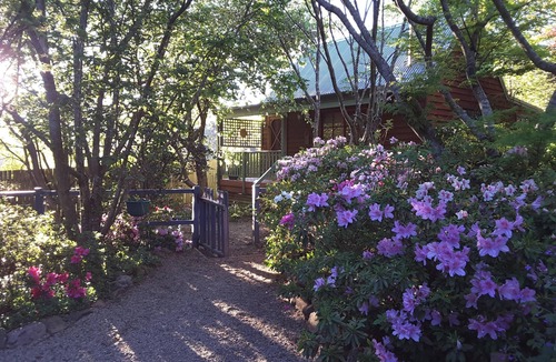 Blackheath Cottage | Evenstar Cottage-Idyllic Mountain getaway