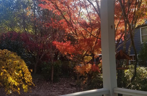 Blackheath Cottage | Evenstar Cottage-Idyllic Mountain getaway