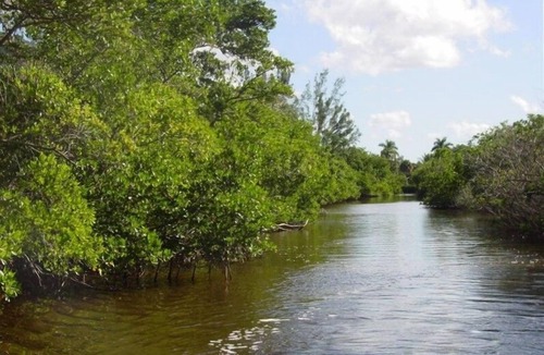 Plantation Island House | Everglades Wilderness Vacation