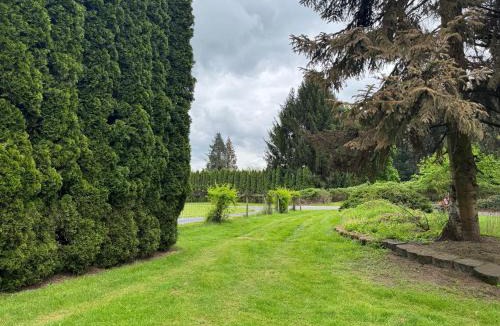 Brush Prairie Other | Evergreen Escape