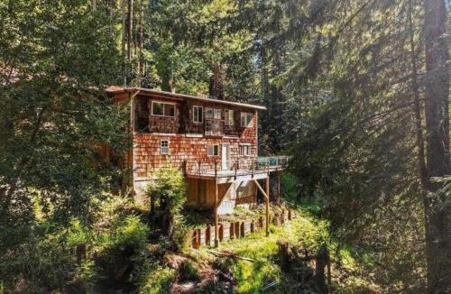 Felton House | Evergreen Escape