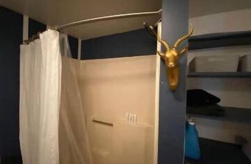 Bolton Landing Apartment | Evergreen hideawaynn