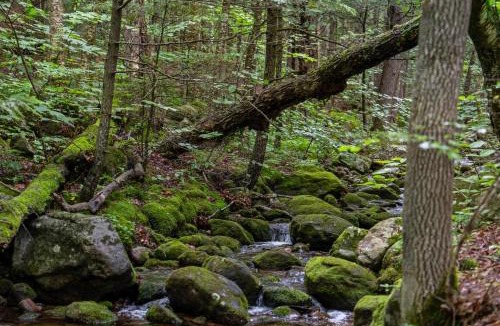 Stoneham Hotel | Evergreen Valley Inn