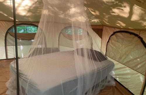 Lovell Other | Evergreen Yurt