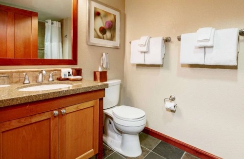 Olympic Valley Hotel | Everline Resort & Spa Deluxe Queen Forest View