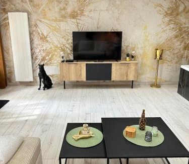 Evreux Apartment | Evreux ground floor apartment,jardin,proche hyper centre