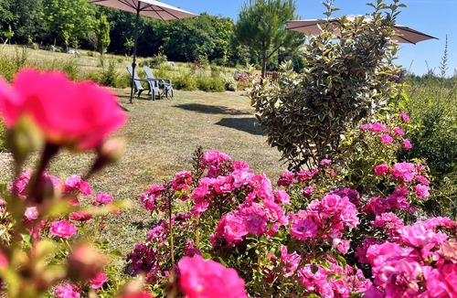 Cellettes House | Exceptional B&B combining nature, history and conviviality