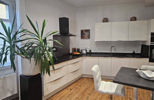 Salies-de-Bearn Apartment | Exceptional duplex 200 m² -heart of town