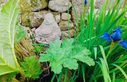 Plouray House | Exceptional property: "Le Pavot Bleu" *