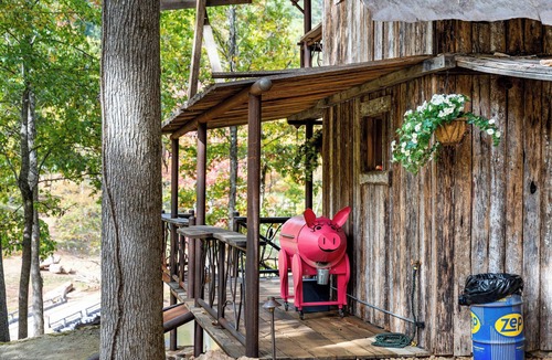 Jasper Cabin | Exclusive Complete Property Buyout